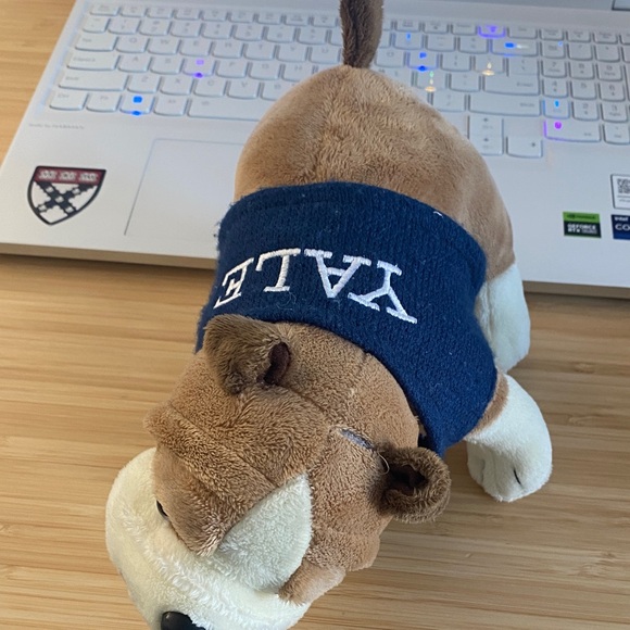 YALE Bulldog Plush Dog Toy - Brown and White - Picture 2 of 8